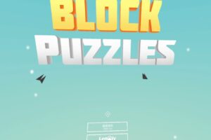 《立体拼图》Block Puzzle