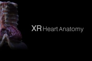 《心脏解剖》XR Heart Anatomy