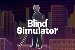 《盲人模拟器》BlindSimulator