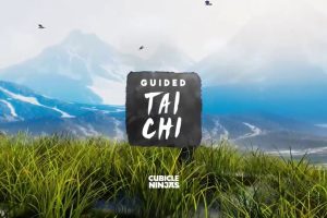 （🌟混合现实）《太极》Guided Tai Chi