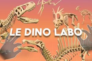 《拼接恐龙》Le Dino Labo