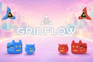 《网格流》GRIDFLOW