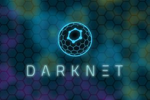 （🌟有趣，站长认证）《暗网：重制版》Darknet: Remastered